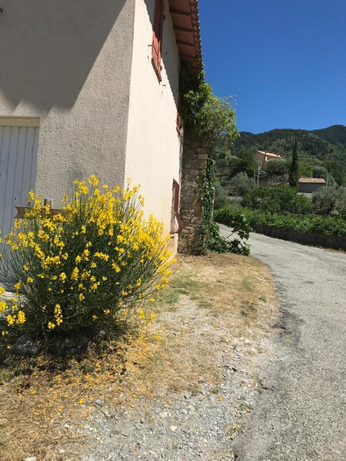 La Ferme Des Cailletiers Chez Marco Vila Lucéram Exterior foto